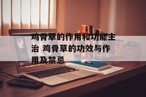鸡骨草的作用和功能主治 鸡骨草的功效与作用及禁忌-第1张图片-