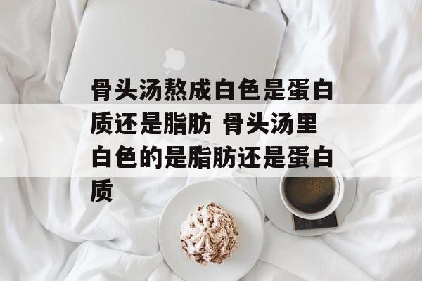骨头汤熬成白色是蛋白质还是脂肪 骨头汤里白色的是脂肪还是蛋白质-第1张图片-