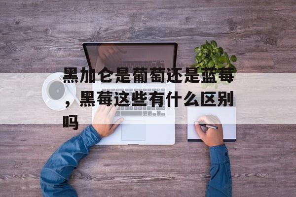 黑加仑是葡萄还是蓝莓，黑莓这些有什么区别吗-第1张图片-