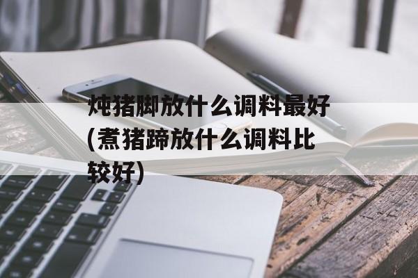 炖猪脚放什么调料最好(煮猪蹄放什么调料比较好)-第1张图片-
