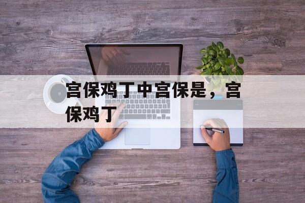宫保鸡丁中宫保是，宫保鸡丁-第1张图片-
