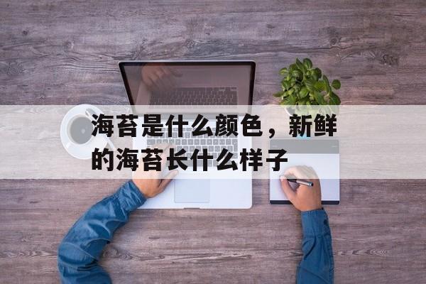 海苔是什么颜色，新鲜的海苔长什么样子-第1张图片-