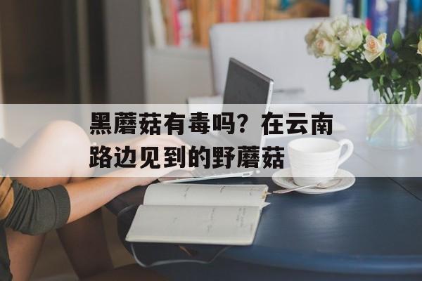 黑蘑菇有毒吗？在云南路边见到的野蘑菇-第1张图片-