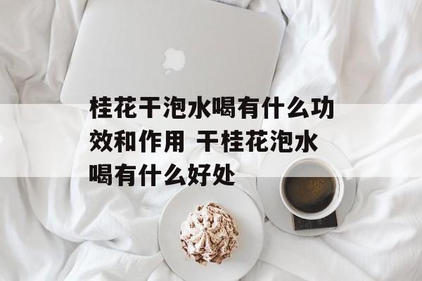 桂花干泡水喝有什么功效和作用 干桂花泡水喝有什么好处-第1张图片-