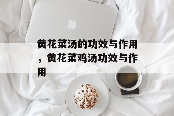 黄花菜汤的功效与作用，黄花菜鸡汤功效与作用-第1张图片-