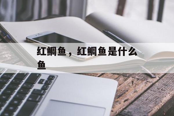 红鲷鱼，红鲷鱼是什么鱼-第1张图片-
