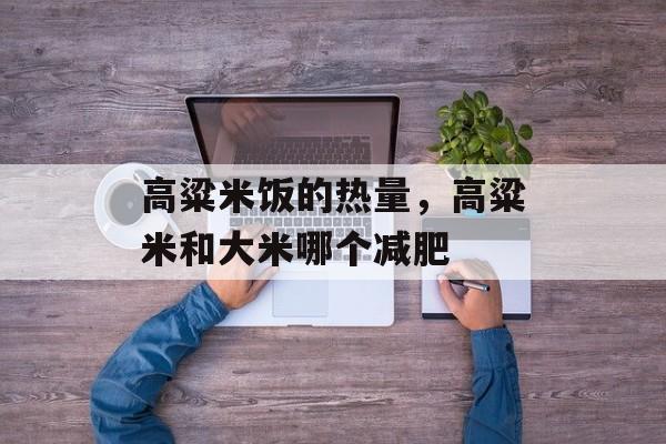 高粱米饭的热量，高粱米和大米哪个减肥-第1张图片-