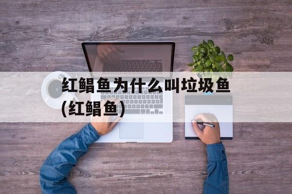 红鲳鱼为什么叫垃圾鱼(红鲳鱼)-第1张图片-