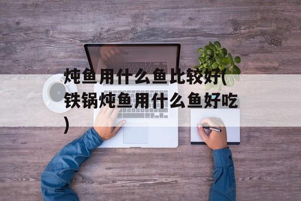 炖鱼用什么鱼比较好(铁锅炖鱼用什么鱼好吃)-第1张图片-