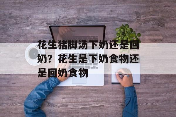花生猪脚汤下奶还是回奶？花生是下奶食物还是回奶食物-第1张图片-