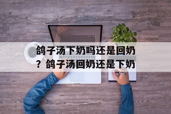 鸽子汤下奶吗还是回奶？鸽子汤回奶还是下奶-第1张图片-