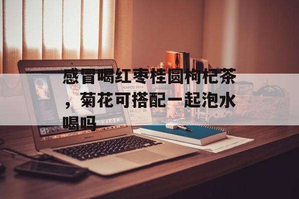 感冒喝红枣桂圆枸杞茶，菊花可搭配一起泡水喝吗-第1张图片-
