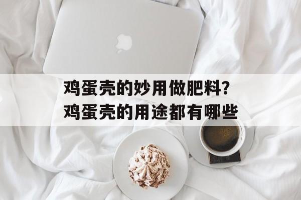 鸡蛋壳的妙用做肥料？鸡蛋壳的用途都有哪些-第1张图片-