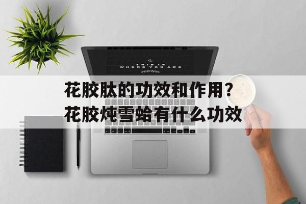花胶肽的功效和作用？花胶炖雪蛤有什么功效-第1张图片-