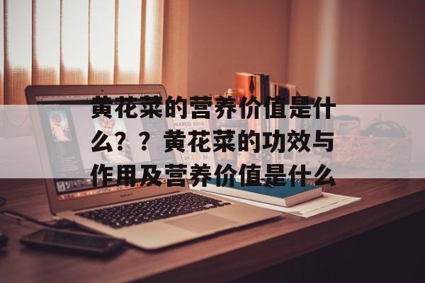 黄花菜的营养价值是什么？？黄花菜的功效与作用及营养价值是什么-第1张图片-