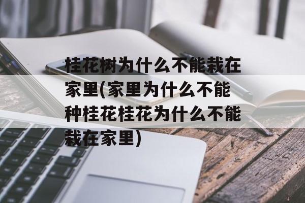 桂花树为什么不能栽在家里(家里为什么不能种桂花桂花为什么不能栽在家里)-第1张图片-