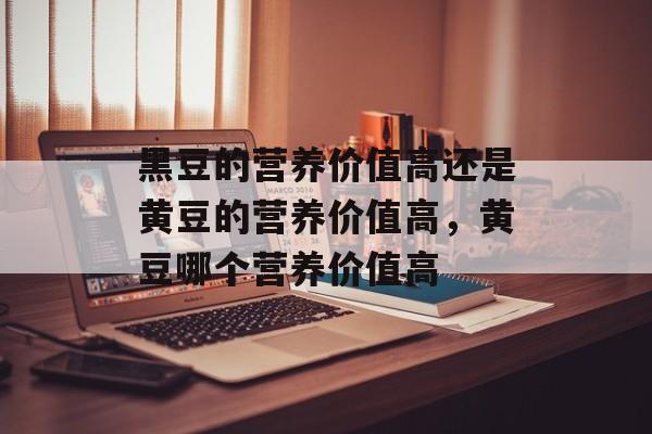 黑豆的营养价值高还是黄豆的营养价值高，黄豆哪个营养价值高-第1张图片-