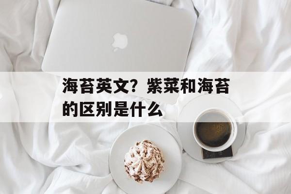 海苔英文？紫菜和海苔的区别是什么-第1张图片-