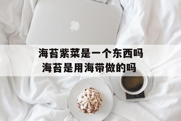 海苔紫菜是一个东西吗 海苔是用海带做的吗-第1张图片-