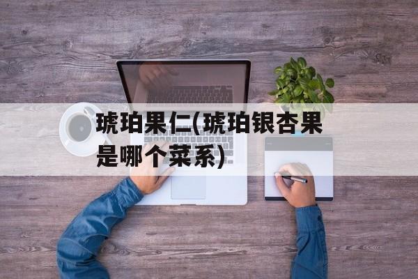 琥珀果仁(琥珀银杏果是哪个菜系)-第1张图片-