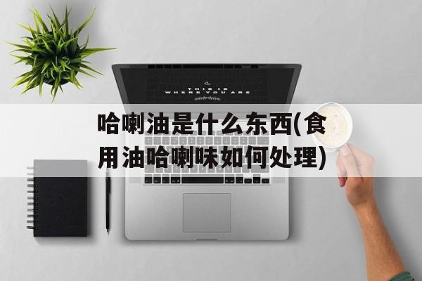 哈喇油是什么东西(食用油哈喇味如何处理)-第1张图片-