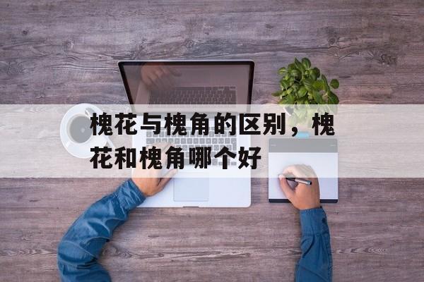 槐花与槐角的区别，槐花和槐角哪个好-第1张图片-