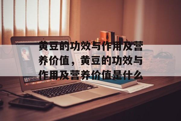 黄豆的功效与作用及营养价值，黄豆的功效与作用及营养价值是什么-第1张图片-