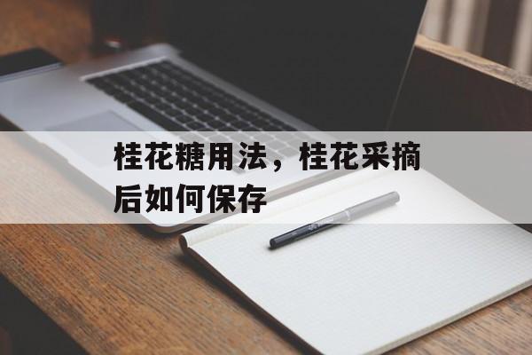 桂花糖用法，桂花采摘后如何保存-第1张图片-