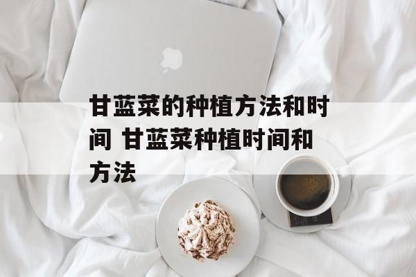 甘蓝菜的种植方法和时间 甘蓝菜种植时间和方法-第1张图片-
