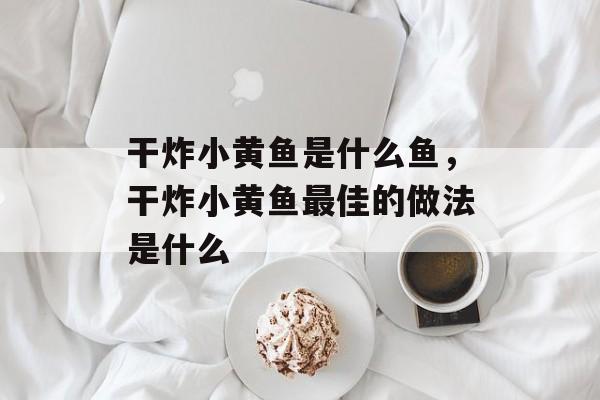 干炸小黄鱼是什么鱼，干炸小黄鱼最佳的做法是什么-第1张图片-