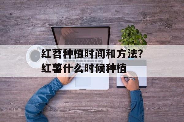 红苕种植时间和方法？红薯什么时候种植-第1张图片-