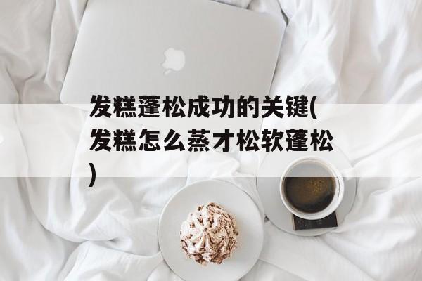 发糕蓬松成功的关键(发糕怎么蒸才松软蓬松)-第1张图片-