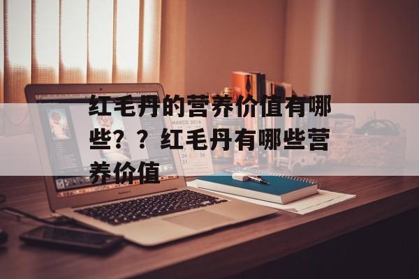 红毛丹的营养价值有哪些？？红毛丹有哪些营养价值-第1张图片-