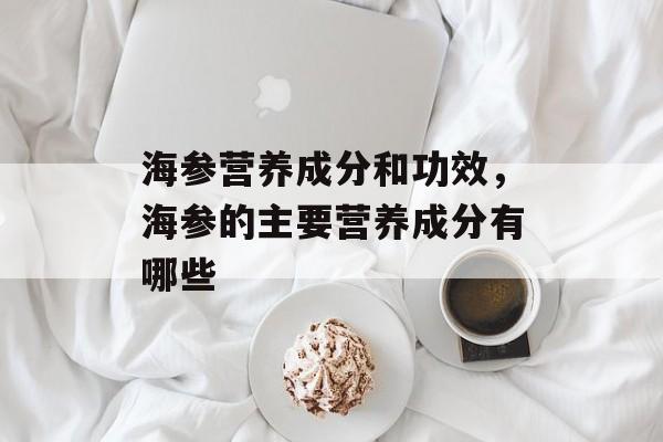 海参营养成分和功效，海参的主要营养成分有哪些-第1张图片-