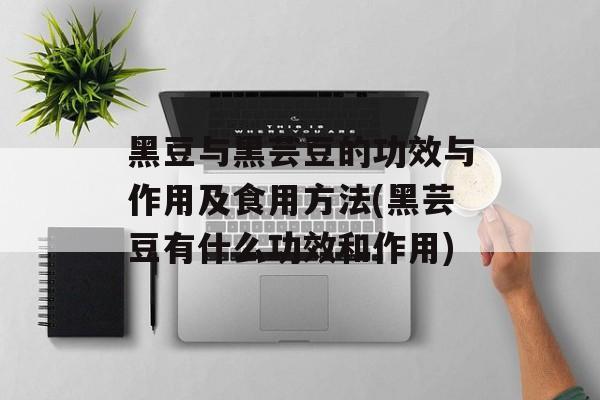 黑豆与黑芸豆的功效与作用及食用方法(黑芸豆有什么功效和作用)-第1张图片-