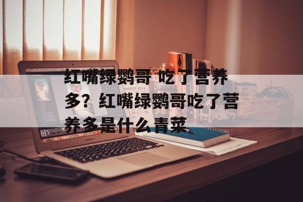 红嘴绿鹦哥 吃了营养多？红嘴绿鹦哥吃了营养多是什么青菜-第1张图片-