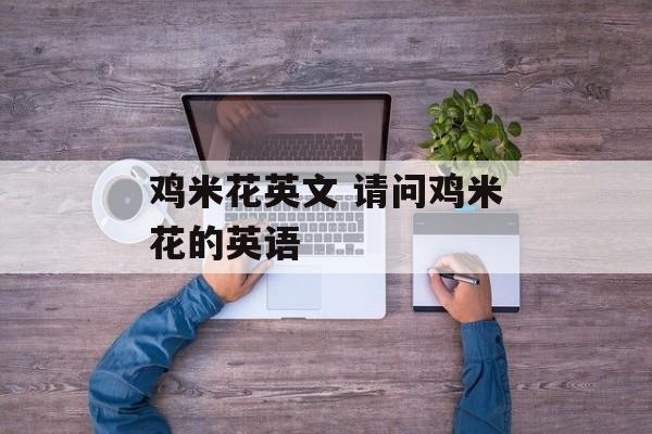鸡米花英文 请问鸡米花的英语-第1张图片-