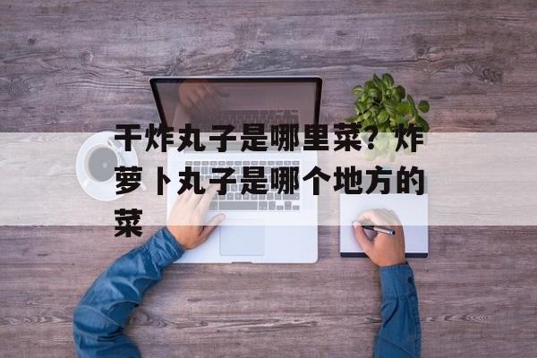 干炸丸子是哪里菜？炸萝卜丸子是哪个地方的菜-第1张图片-