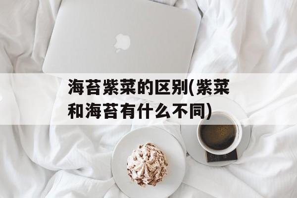 海苔紫菜的区别(紫菜和海苔有什么不同)-第1张图片-