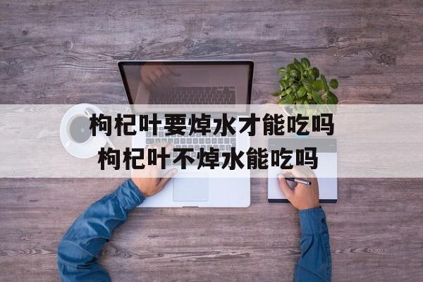 枸杞叶要焯水才能吃吗 枸杞叶不焯水能吃吗-第1张图片-