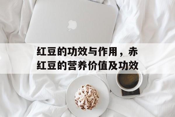 红豆的功效与作用，赤红豆的营养价值及功效-第1张图片-