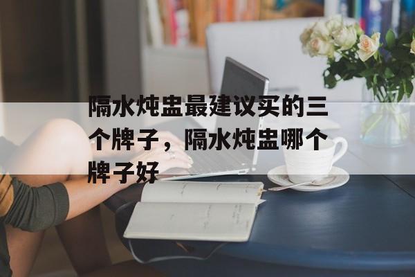 隔水炖盅最建议买的三个牌子，隔水炖盅哪个牌子好-第1张图片-