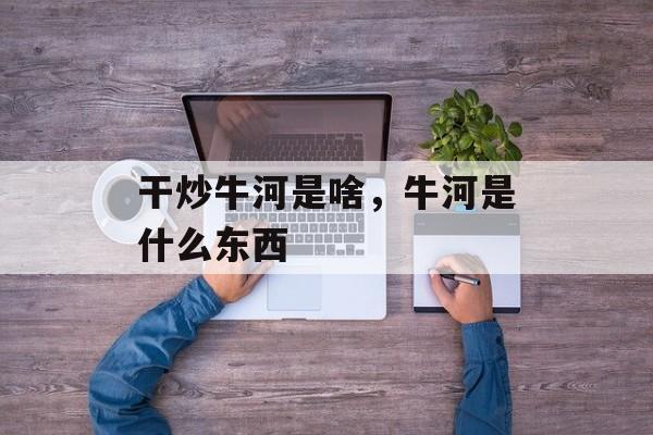 干炒牛河是啥，牛河是什么东西-第1张图片-