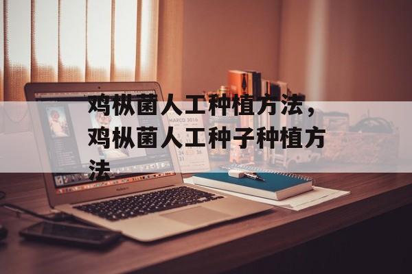鸡枞菌人工种植方法，鸡枞菌人工种子种植方法-第1张图片-