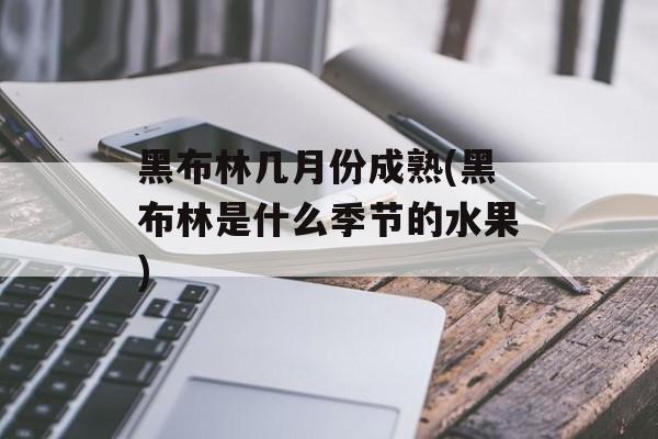 黑布林几月份成熟(黑布林是什么季节的水果)-第1张图片-
