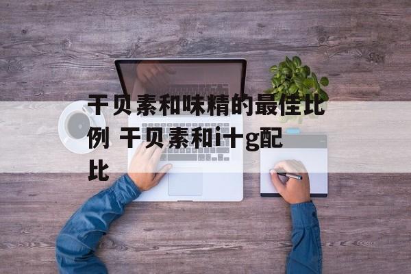 干贝素和味精的最佳比例 干贝素和i十g配比-第1张图片-