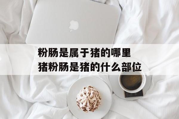 粉肠是属于猪的哪里 猪粉肠是猪的什么部位-第1张图片-