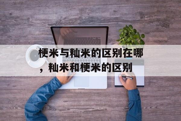 梗米与籼米的区别在哪，籼米和梗米的区别-第1张图片-