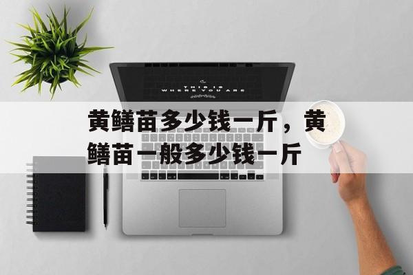 黄鳝苗多少钱一斤，黄鳝苗一般多少钱一斤-第1张图片-