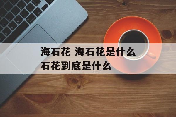 海石花 海石花是什么石花到底是什么-第1张图片-
